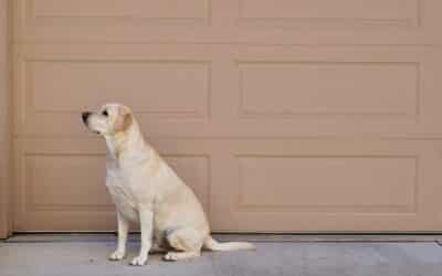 Pros and Cons of Insulated Residential Garage Doors